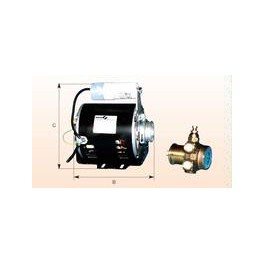 Motor and circulation pump