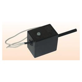 Regolatore elettronico di velocita'