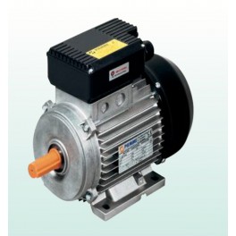 Asynchronous Single-phase Electric Motors
