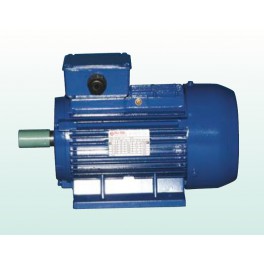 IMPORT Three-phase Asynchronous electric motors